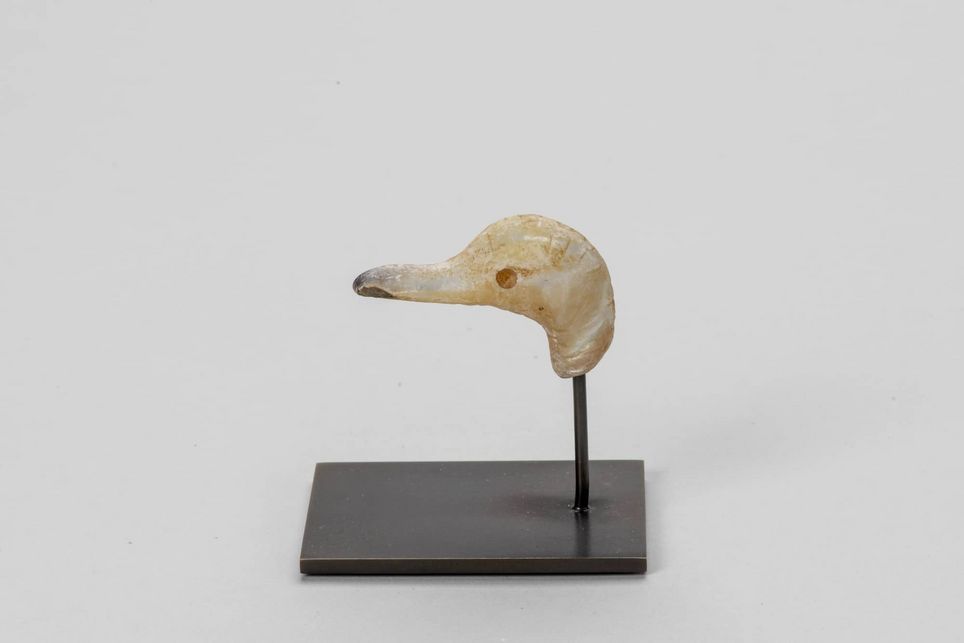 Tête d'oiseau aquatique